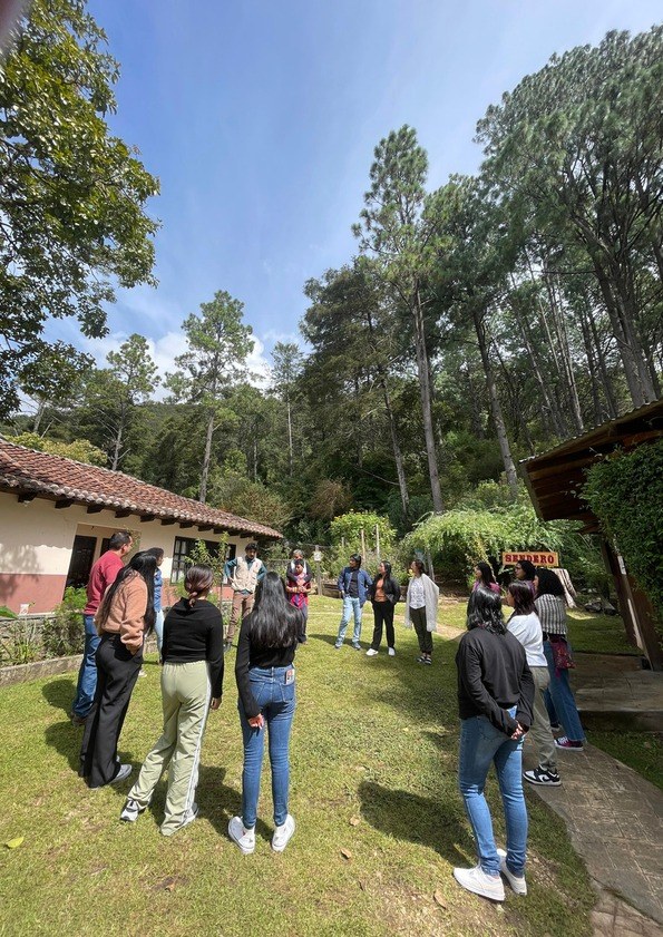 Grupo caminando en el bosque de la Reserva Moxviquil